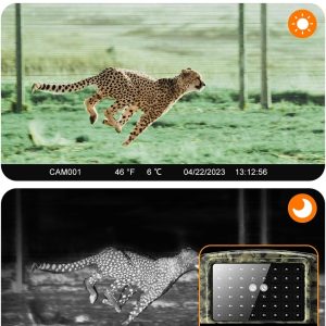 دوربین تله ای (Trail Camera) 4K – مدل PR4000